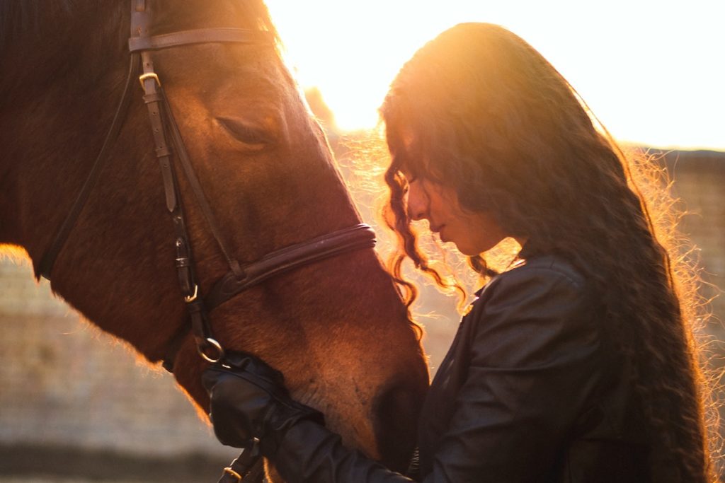 Body language of horses 