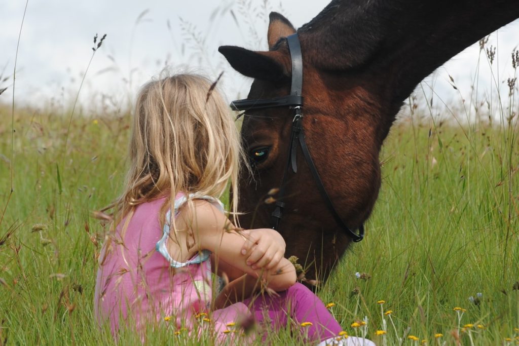 a little girl is sitting in front of a horse