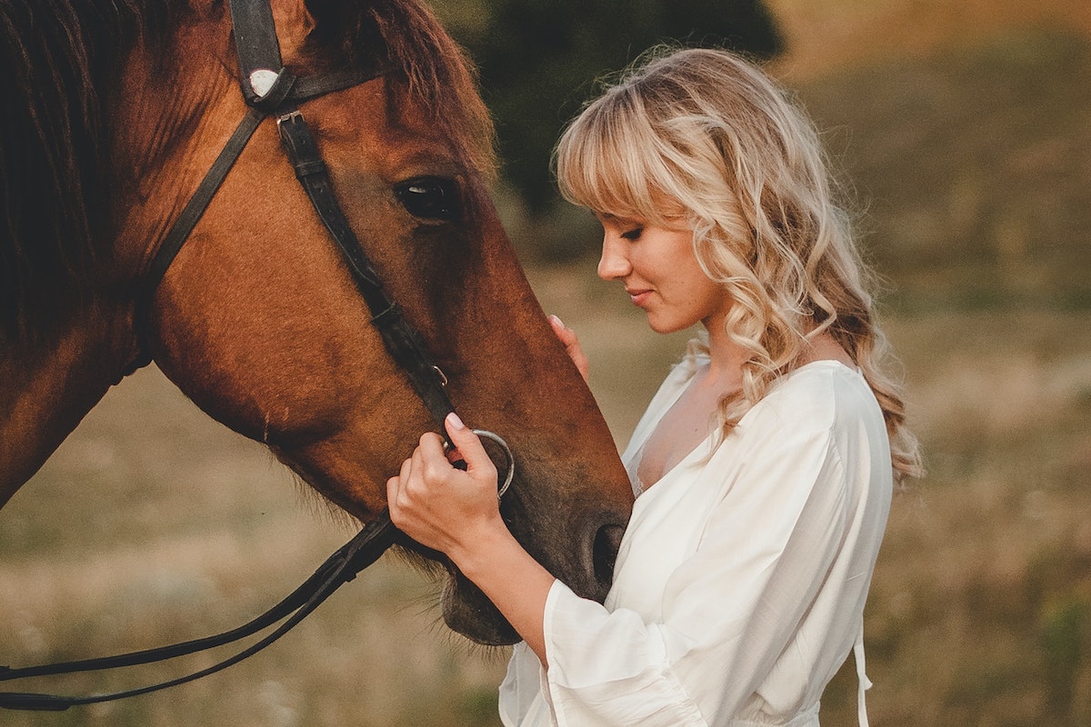 Do horses have emotions