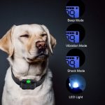 Electric dog training and  anti bark collar