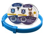 blue box 1pc