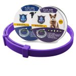 purple box 1pc