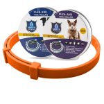 orange box 1pc