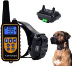 Electric dog training and  anti bark collar