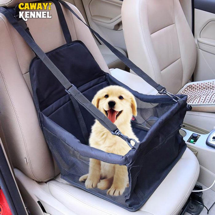Pet carrier car seat