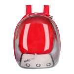 Breathable transparent backpack for puppy cat