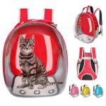 Breathable transparent backpack for puppy cat