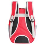 Breathable transparent backpack for puppy cat