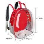 Breathable transparent backpack for puppy cat