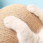 Cat scratching ball toy