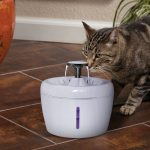 Cat & dog water fountain  drinking bowl