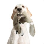 Dog sounding pet toy