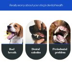 Dog Toothbrush with Three Sided