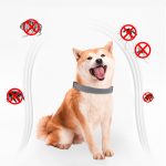 Adjustable dog & cat collar flea & tick prevention pet collar pest control protect rubber flea killer collar pet cat accessories