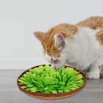 Dog snuffle bowl mat