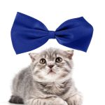 Bow tie cat collar
