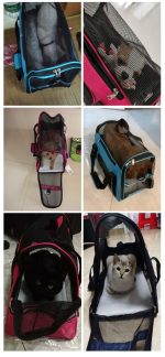 New cat bag portable breathable