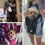 Pet dog carrier bag