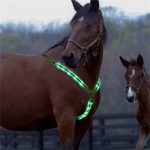 Led horse riding belt waterproof nylon