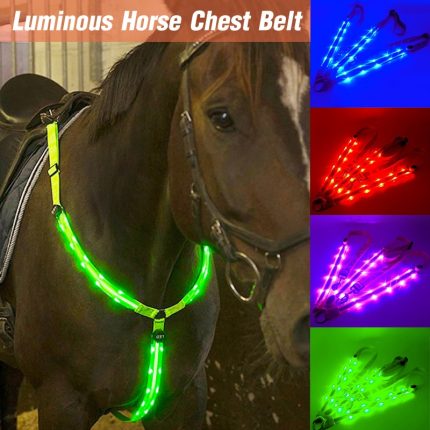 Led horse riding belt waterproof nylon