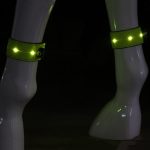 Led lighting horse leg straps