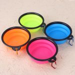 Travel dog bowl