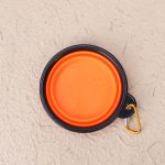 Travel dog bowl