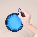 Travel dog bowl