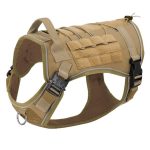 Coyote Brown