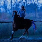 100cm horse tail usb lights chargeable led