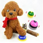 Reminder tool for dog & cat training