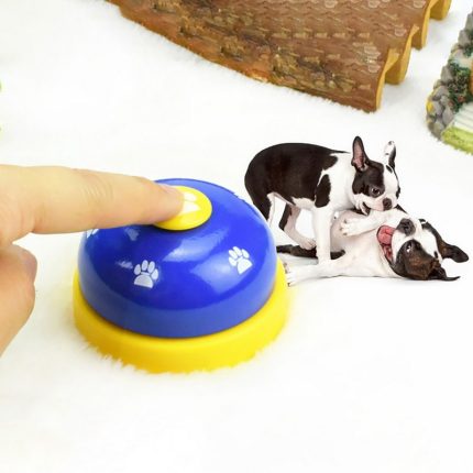 Reminder tool for dog & cat training
