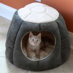 Nest bed for cat & dog