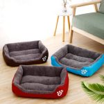Kong dog bed