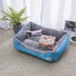 sky blue 3in1
