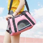 New cat bag portable breathable