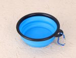Travel dog bowl