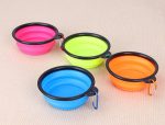 Travel dog bowl