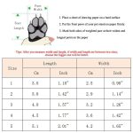 Winter shoes for dogs & cats