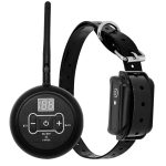 Wireless electronic dog fence system