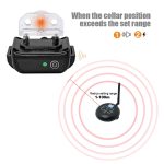 Wireless electronic dog fence system