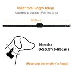Wireless electronic dog fence system