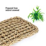 Penn plax reptology lizard lounger,