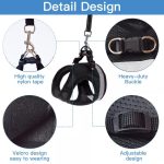 Adjustable cat harness and leash