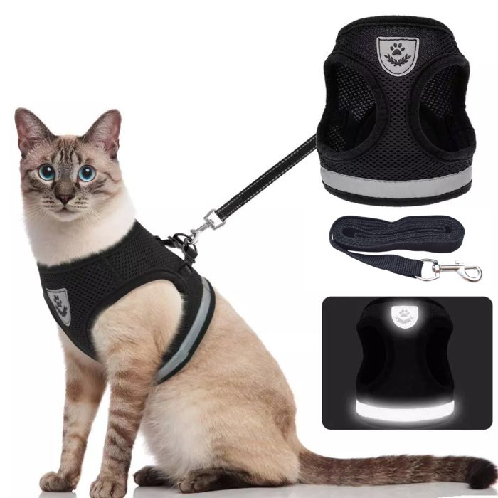 Adjustable cat harness and leash