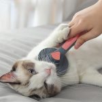 Paws channel® cat comb