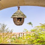 Charming decorative hummingbird house