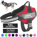 No pull dog harness