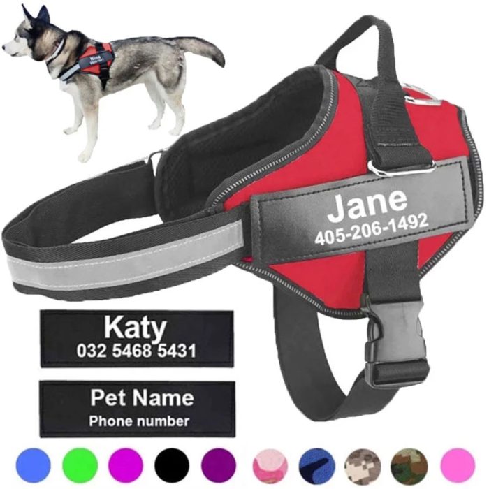 No pull dog harness