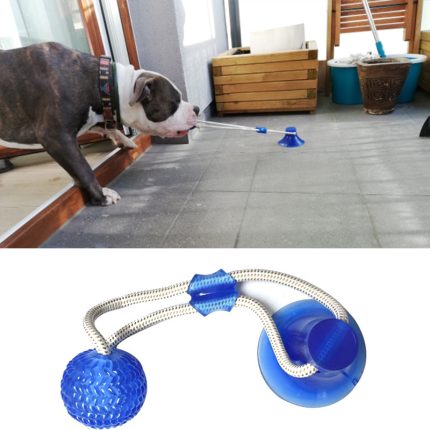 Dog ball on rope